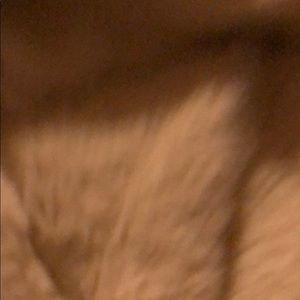 Meet your Posher, Mitch